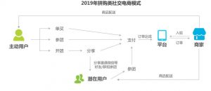 2019拼购类社交电商模式