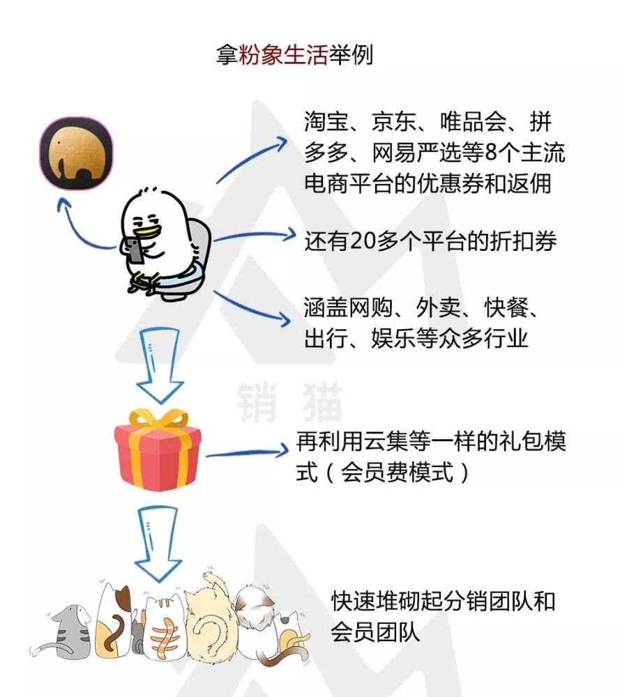 当前社交电商的五种主流模式，你嗅到了吗？