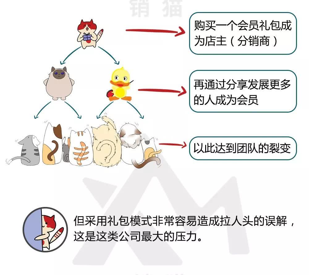 当前社交电商的五种主流模式，你嗅到了吗？