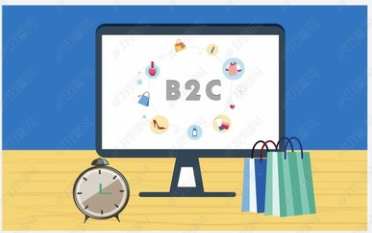 行业三大主流 B2C 平台